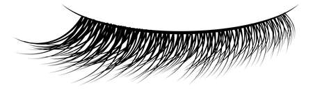 Fake eyelashes. Realistic black mascara female makeupのイラスト素材