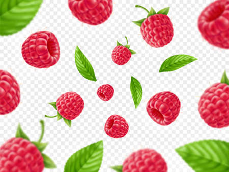 Realistic berries background. Focused and unfocused flying fresh raspberries with leaves, natural falling 3d fruits isolated on transparent background, banner template, utter vector conceptのイラスト素材