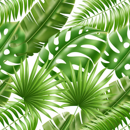 Tropical leaves seamless pattern. Exotic green palm foliage, realistic monstera, banana plants, 3d botanical elements. Decor textile, wrapping paper. Summer print, utter vector backgroundのイラスト素材