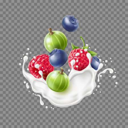 Realistic berry splash. Milk or yogurt splashes, cream with fresh blueberries, raspberries and gooseberries, 3d flying foods, 3d isolated on transparent background utter vector conceptのイラスト素材