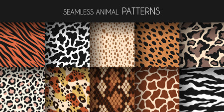 Animal fur seamless patterns. Leather and skin prints, natural fauna backgrounds, zoo mammals and reptiles textures, zebra jaguar and tiger, giraffe and cow wrapping paper tidy vector setのイラスト素材
