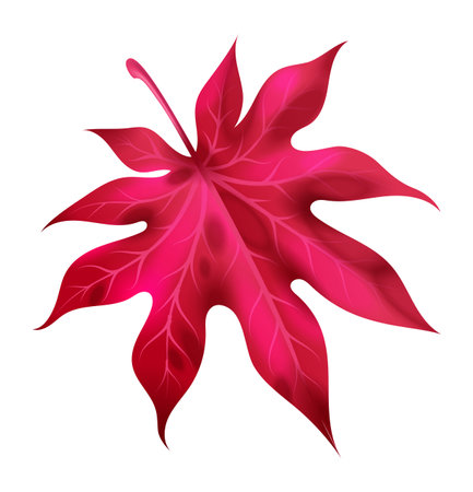 Realistic autumn leaf. Fall red and pink wood foliage of maple, bright colorful fallen leaves, tree isolated decor object, 3d isolated botanical element, vector botany illustrationのイラスト素材