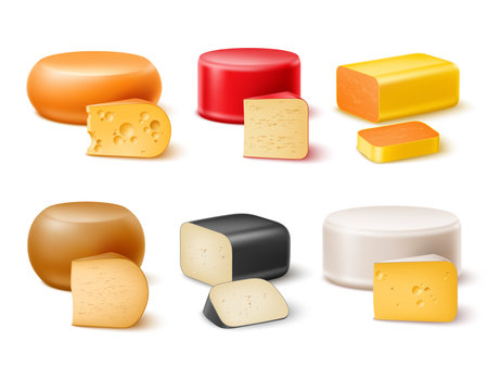 Realistic cheese. Different varieties cheeses, whole circles, blocks and pieces, brie, cheddar and parmesan, maasdam and edam, eco healthy milk products, dairy nutrition, utter vector setのイラスト素材