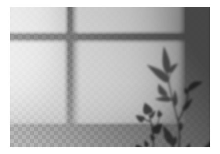 Realistic shadow overlay. Leaves and window frame monochrome, plant branch, room wall. Soft light. Mockup for presentation. Effect isolated on transparent background. Vector illustrationのイラスト素材
