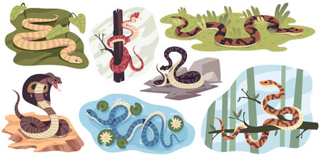 Snakes habitat. Different natural conditions, crawling scaly animals on branches, in water, in desert, suitable atmosphere, tropical wildlife, cobra and python, tidy vector cartoon flat setのイラスト素材