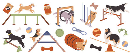 Dog agility. Pets train on their own, animal simulators, different breeds, outdoor sport activities, obstacle overcoming, playground for animals, tidy vector cartoon flat isolated setのイラスト素材