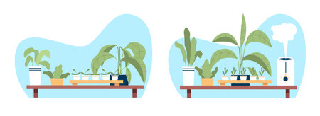 Houseplants in room with dry air and with humid air thanks to humidifier. Indoor ficuses, palms and cactus. Household electronic equipment, cartoon flat style isolated vector conceptのイラスト素材