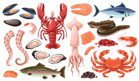 Cartoon raw sea food products. Marine and oceanic gourmet delicacies, fish and shellfish, phosphorus and omega 3 vitamins. Lobster and oyster mollusk, salmon and shrimp. Tidy vector setのイラスト素材