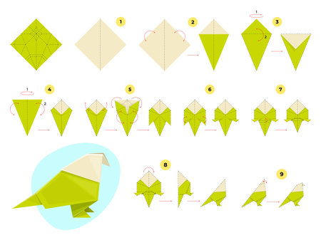 Step by step origami scheme. Instructions for bending and assembling paper bird, how to make polygonal parrot, kids toy. Handmade green pigeon cartoon flat style isolated vector conceptのイラスト素材
