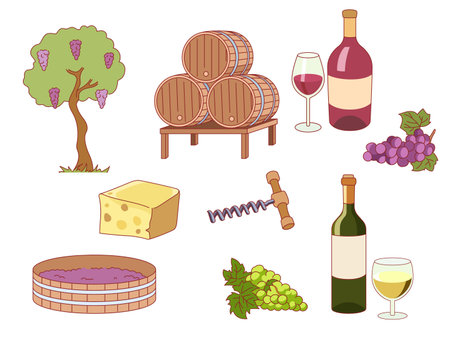 Winemaking elements. Fermented noble alcohol, settling in oak barrels, white and red grape, bottles, glasses and corkscrew, winery product making, cartoon flat isolated illustration, vector setのイラスト素材