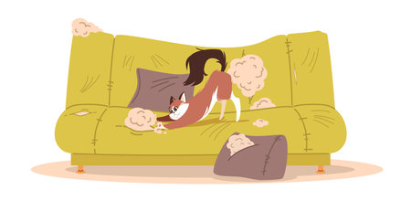 Cat scratched couch. Pet bed behavior. Domestic playfulness animal at home, nasty kitten destroying furniture. Living room with damaged dirty sofa. Cartoon flat isolated vector conceptのイラスト素材