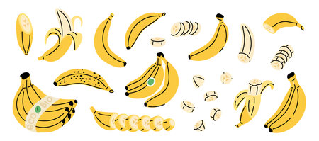 Cartoon bananas. Ripe organic fruit, dense yellow peel, bunches, individual, cut and whole, natural fresh delicious organic food with labels, nutrition doodle isolated garish vector setのイラスト素材