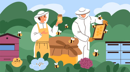 Beekeepers work. People in uniform at apiary, collecting honey, caring for bees and hives, family...