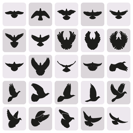 Flying bird like dove pigeon silhouettes setのイラスト素材