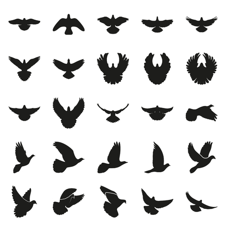 simple black minimal the figure a doves pigeon icon symbol on white backgroundのイラスト素材