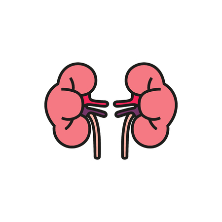 Simple icon of human kidneys on white background Created For Mobile, Infographics, Web, Decor, Print Products, Applications. Icon isolated.のイラスト素材