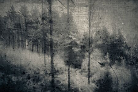 Sadness snowed liedの写真素材