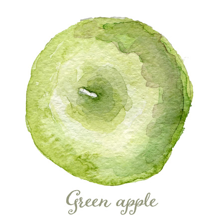 Watercolor green apple - hand painted vector illustrationのイラスト素材