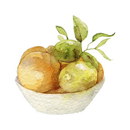 Hand drawn watercolor illustration of different exotic tropical fruitsの写真素材