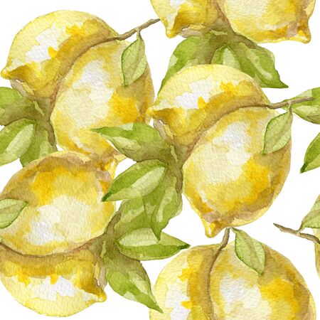 Seamless pattern of sweet juicy lemon watercolor on whiteの写真素材