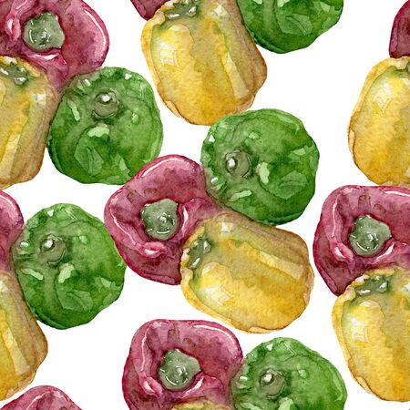 Seamless pattern of sweet pepper watercolor on whiteの写真素材