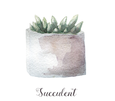 Hand painted watercolor succulent plants in pot. Perfect for cards, labels, invitations, web, scrapbook, flyer etcの写真素材