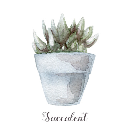 Hand painted watercolor succulent plants in pot. Perfect for cards, labels, invitations, web, scrapbook, flyer etcの写真素材