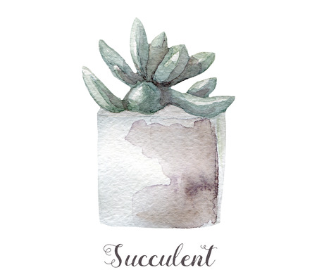 Hand painted watercolor succulent plants in pot. Perfect for cards, labels, invitations, web, scrapbook, flyer etcの写真素材