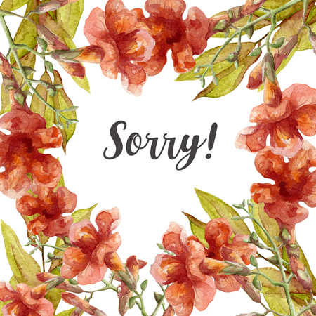 sorry card with watercolor flowersの写真素材