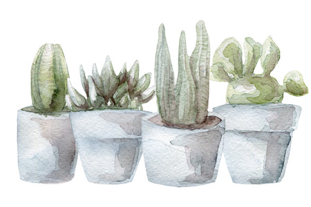 Watercolor cactus and succulent setの写真素材