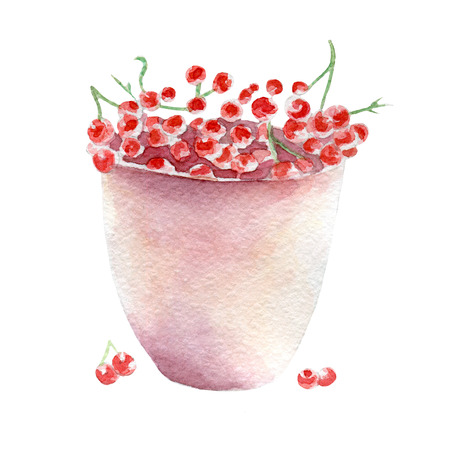 red currant illustration. Hand drawn watercolor on white background.の写真素材