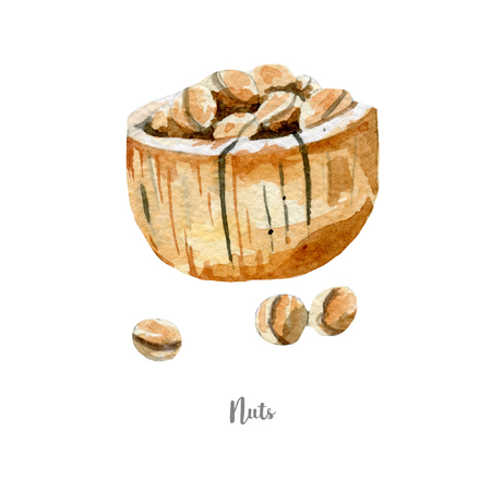 fresh nuts illustration. Hand drawn watercolor on white background.の写真素材