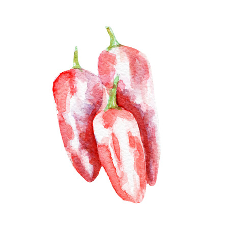 Pepper illustration. Hand drawn watercolor on white background.の写真素材