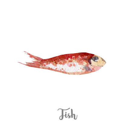 fresh fish illustration. Hand drawn watercolor on white background.の写真素材