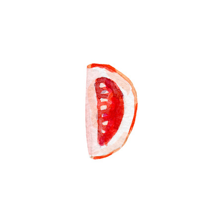 fresh tomato illustration. Hand drawn watercolor on white background.の写真素材