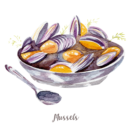 Mussels illustration. Hand drawn watercolor on white background.の写真素材