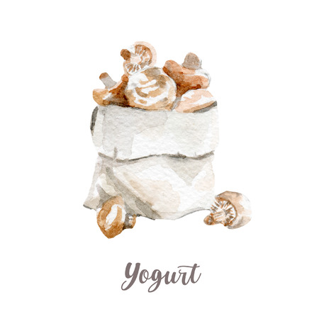 fresh mushrooms illustration. Hand drawn watercolor on white background.の写真素材