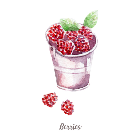 fresh berries illustration. Hand drawn watercolor on white background.の写真素材