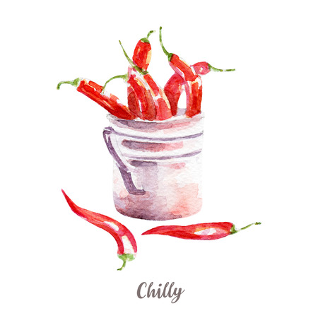 fresh chilli illustration. Hand drawn watercolor on white background.の写真素材