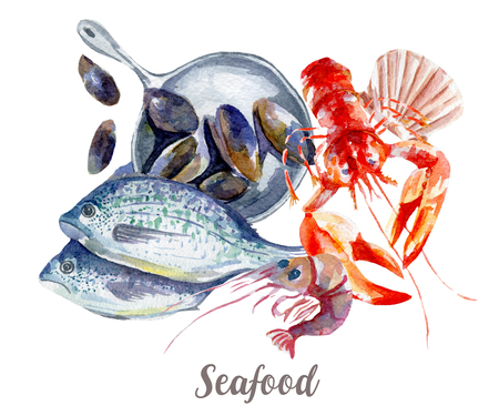 Seafood illustration. Hand drawn watercolor on white background.の写真素材