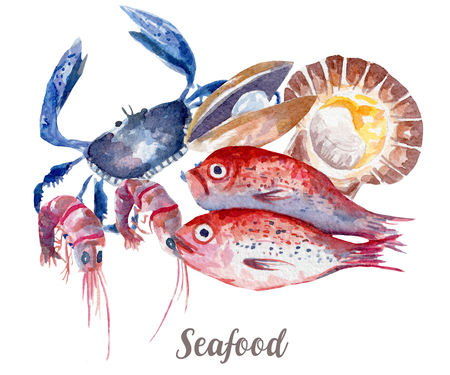 Seafood illustration. Hand drawn watercolor on white background.の写真素材