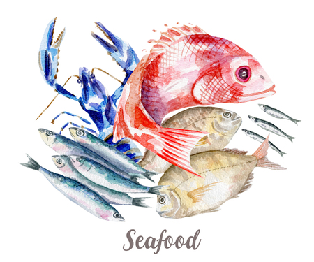 Seafood illustration. Hand drawn watercolor on white background.の写真素材