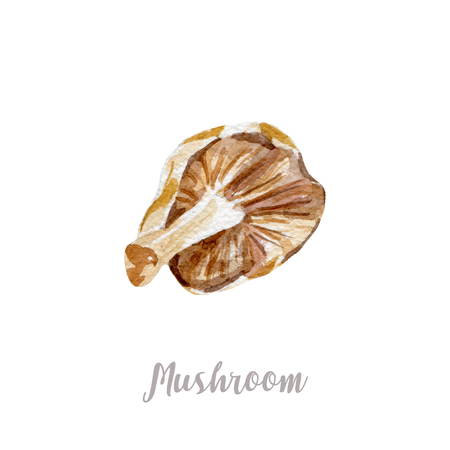Watercolor hand drawn mushroom. Isolated illustration on white backgroundの写真素材