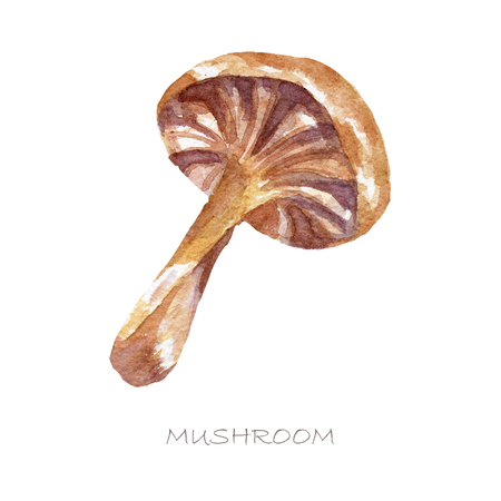Watercolor Nature Clipart - Mushroomsの写真素材