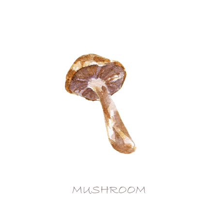 Watercolor Nature Clipart - Mushroomsの写真素材