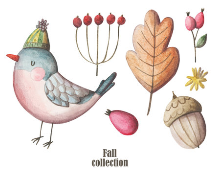 Cozy autumn elements hand painted set. Cold weather clipart collectionの写真素材