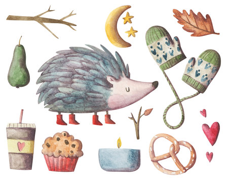 Cozy autumn elements hand painted set. Cold weather clipart collectionの写真素材