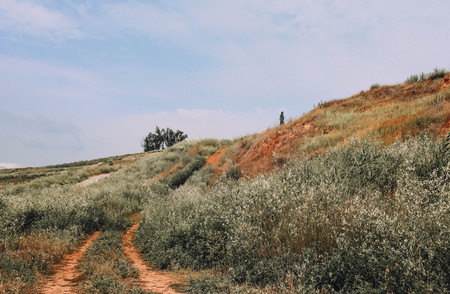 road through a field with hills, weeds overgrownの写真素材