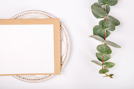 Top view of blank greeting card with plants  on white backgroundの写真素材