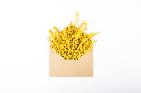 envelope with flowers of mimosa yellow on white background